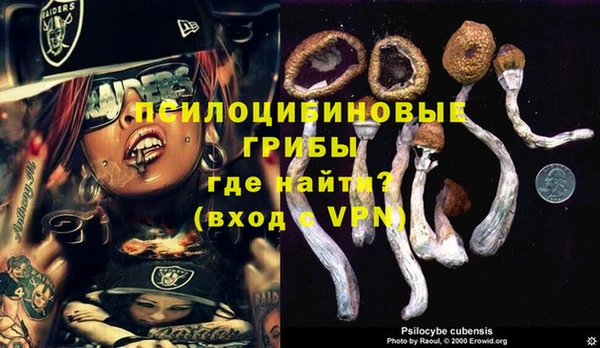 амф Михайловск