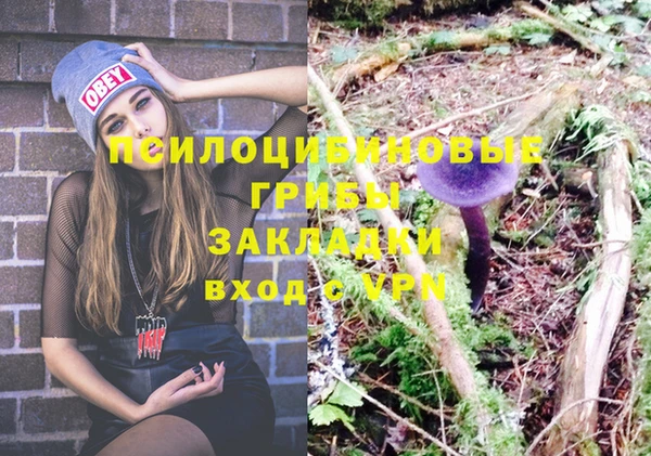 прущая мука Наволоки