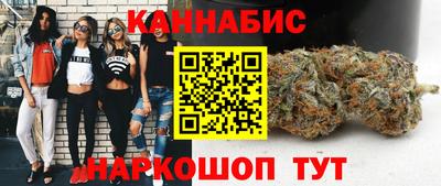 сатива Аргун