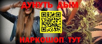 сатива Аргун
