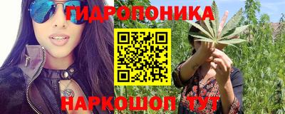 сатива Аргун