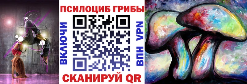 купить   Владивосток  Галлюциногенные грибы ЛСД 
