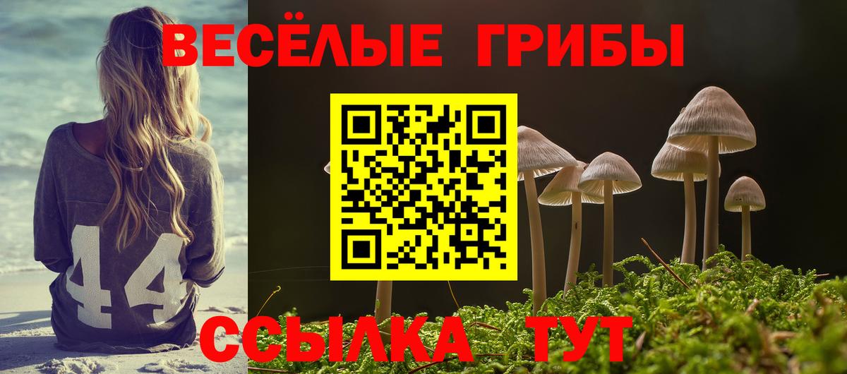 Галлюциногенные грибы Psilocybe  Владивосток 
