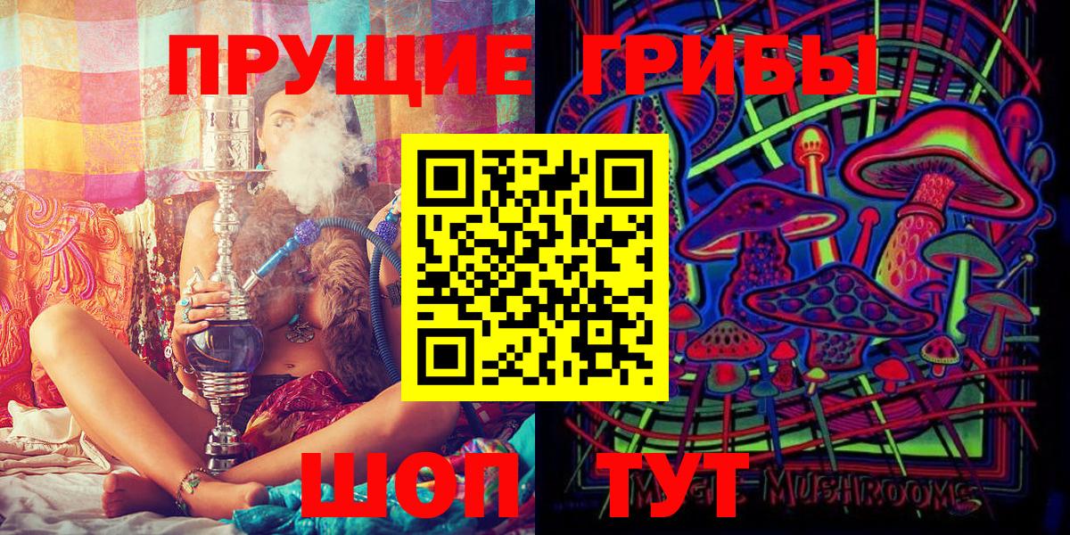 Псилоцибиновые грибы Psilocybe  Вход с VPN  Владивосток 