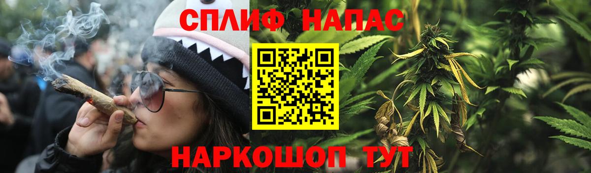 Каннабис план  Владивосток  МАРИХУАНА конопля  Канабис конопля 